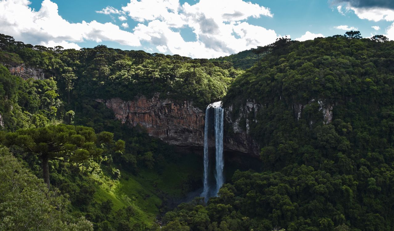 Brazil: Rio, Iguazu & Amazon